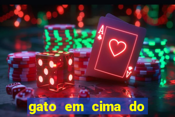 gato em cima do telhado significado espiritual